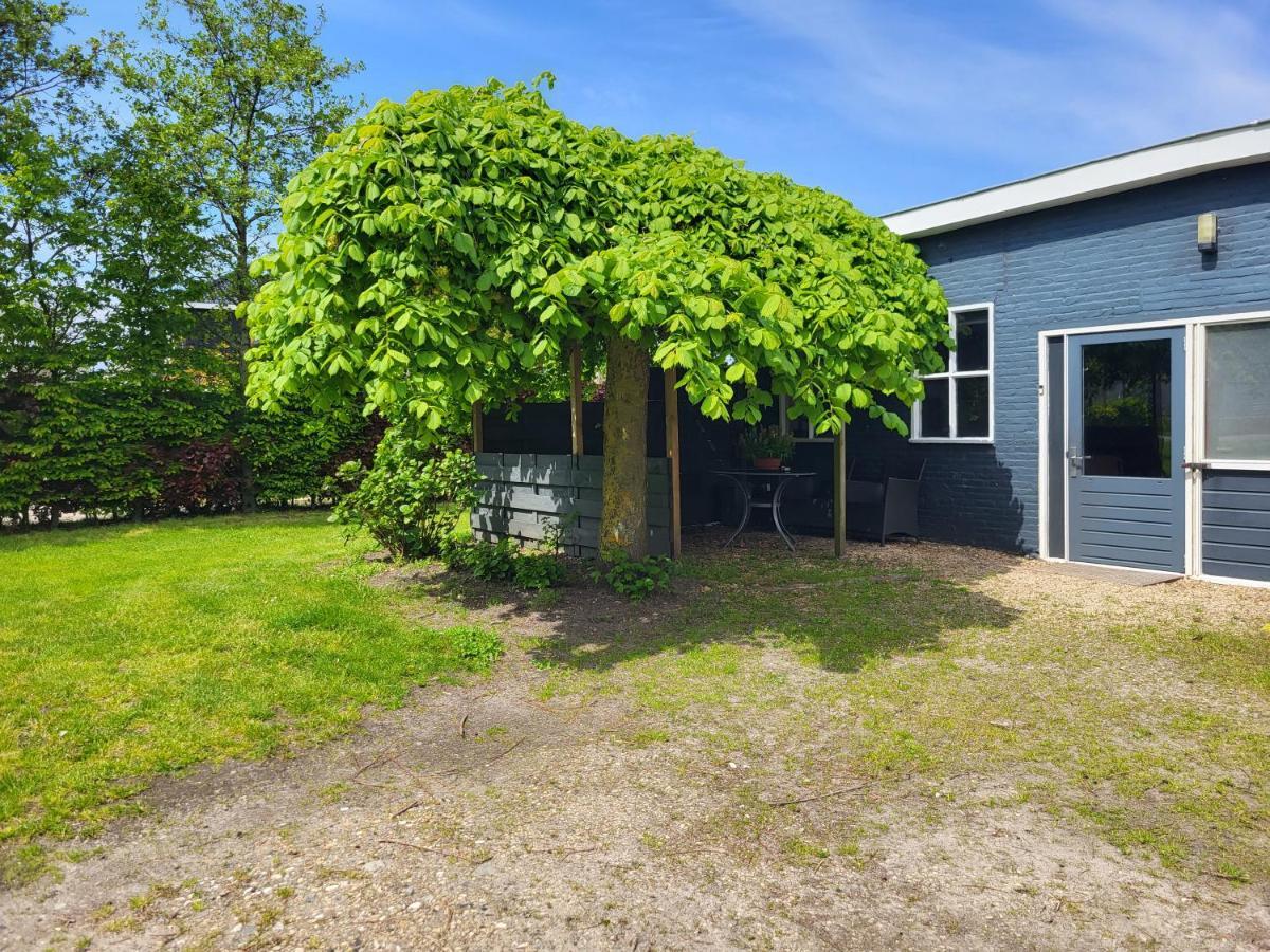 Luxe Bloemenzicht 4 Personen, Bnb, 10 Minuten Van Zee Breezand Экстерьер фото
